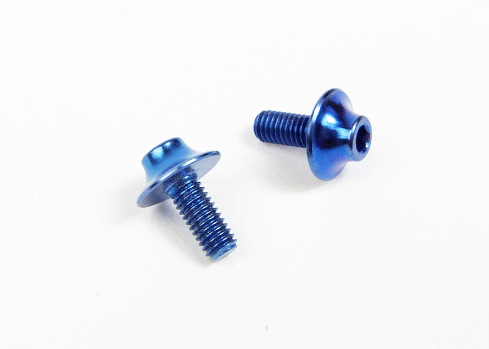 BLUE TITANIUM MOTOR SCREWS (pr)